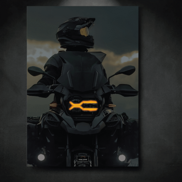 Tableau NEON BMW R 1250 GS