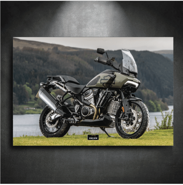 Tableau NEON Harley-Davidson Pan America 1250