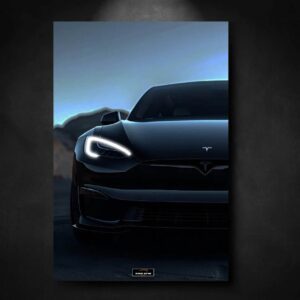 Tableau_NEON_Tesla_Model_S viberpm