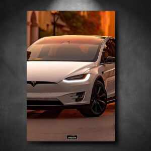 Tableau NEON Tesla Model X