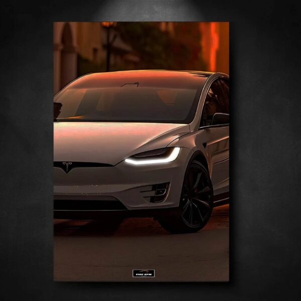 Tableau NEON Tesla Model X viberpm